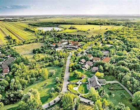 OIP%20%284%29.jpg?w=696&ssl=1